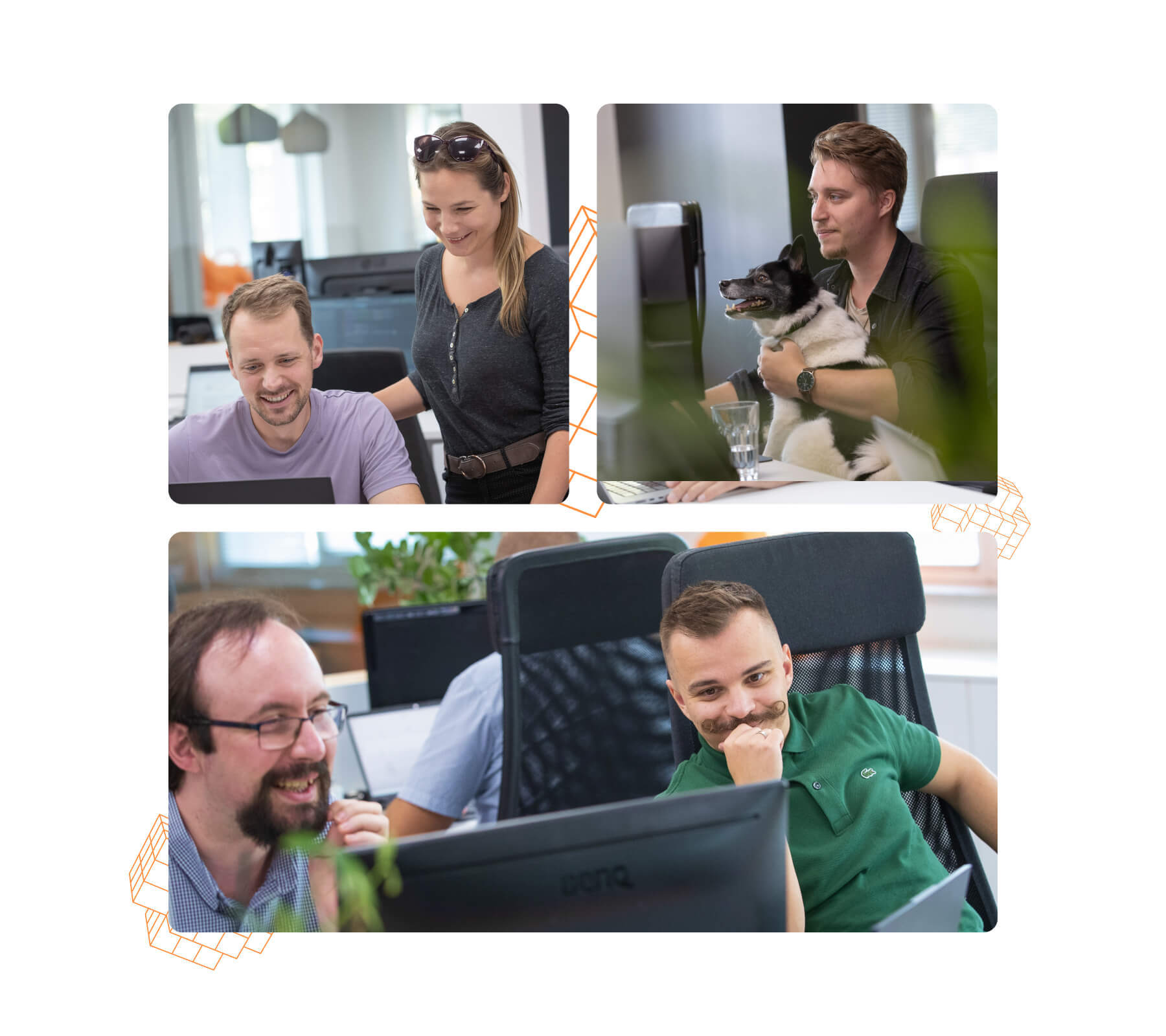 Loginet mobile dev team