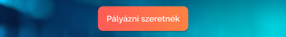 GINOP PLUSZ 1.2.1-21 pályázat - Webshop fejlesztés állami támogatással, a LogiNet minősített termékeivel